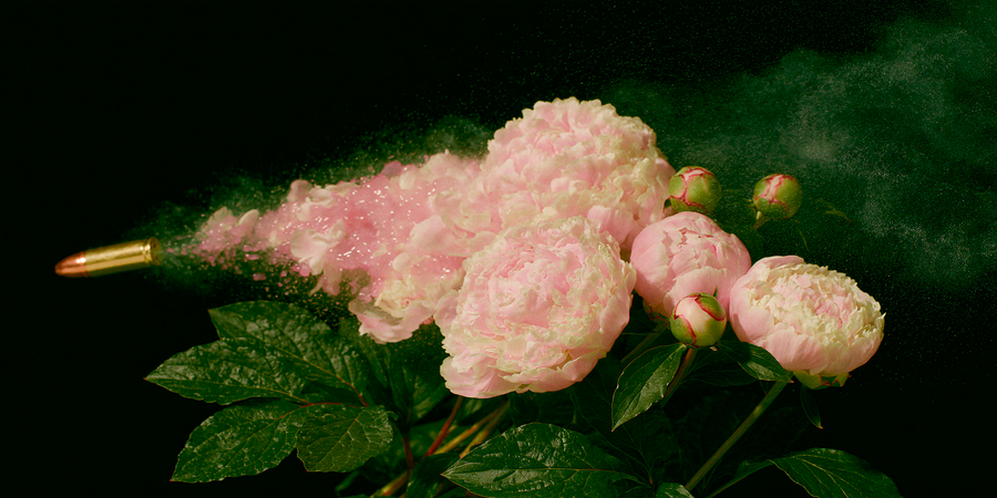 Blunt Bloom
