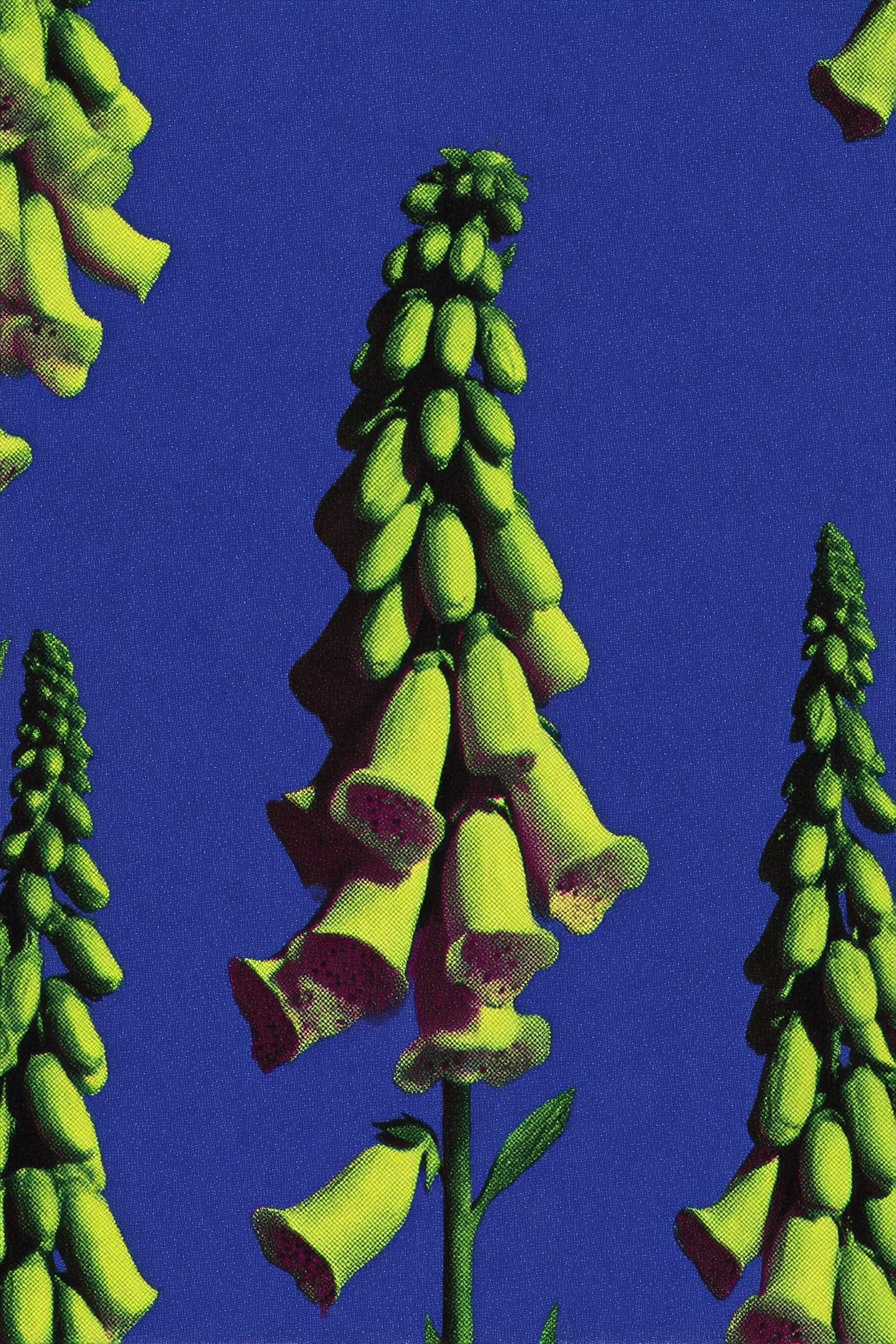 Foxglove in Ultramarine