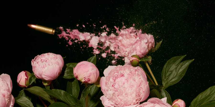 Bloom Casualty