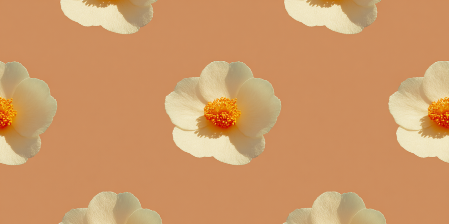 Amber Repeat