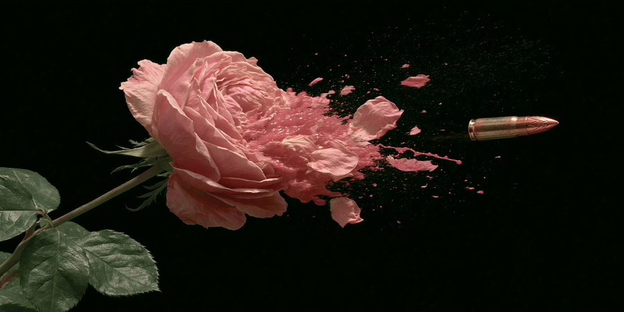 Bloom Trajectory