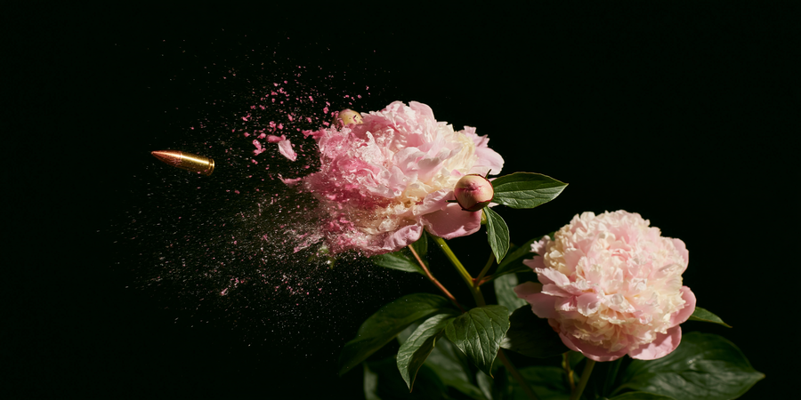 Bloom Radius