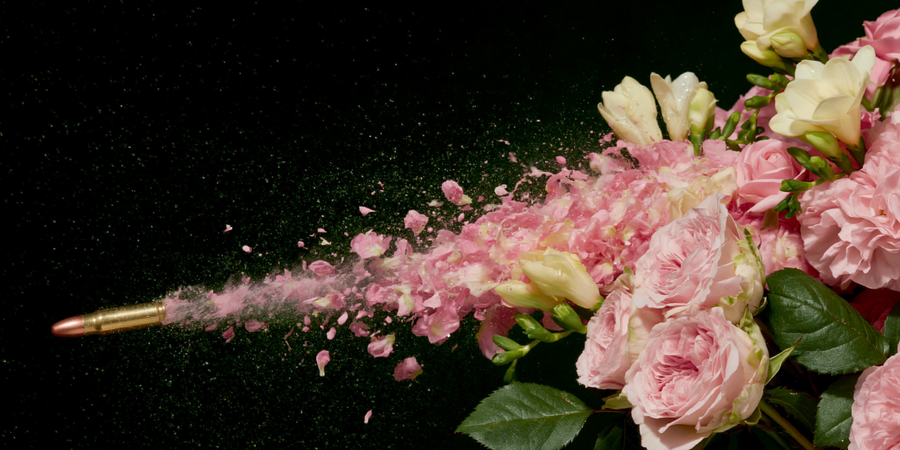Bloom Trajectory