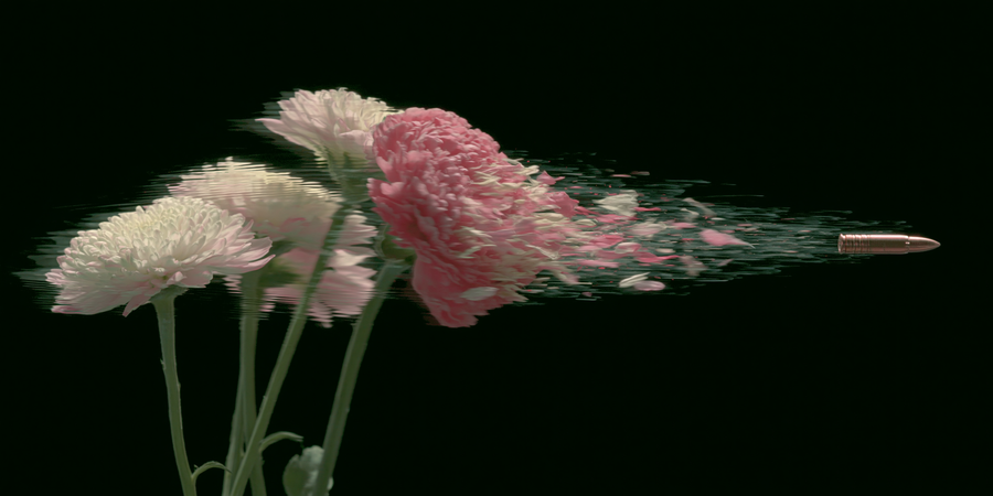 Exit Bloom