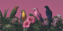 Parrot Parade