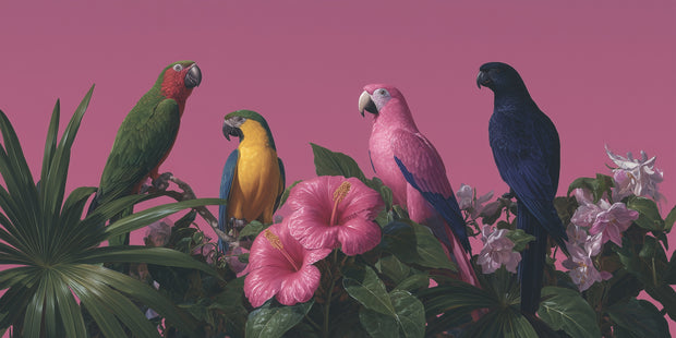 Parrot Parade fine art print, modern wall art, balanced light and tone