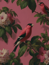 Roseate Chorus