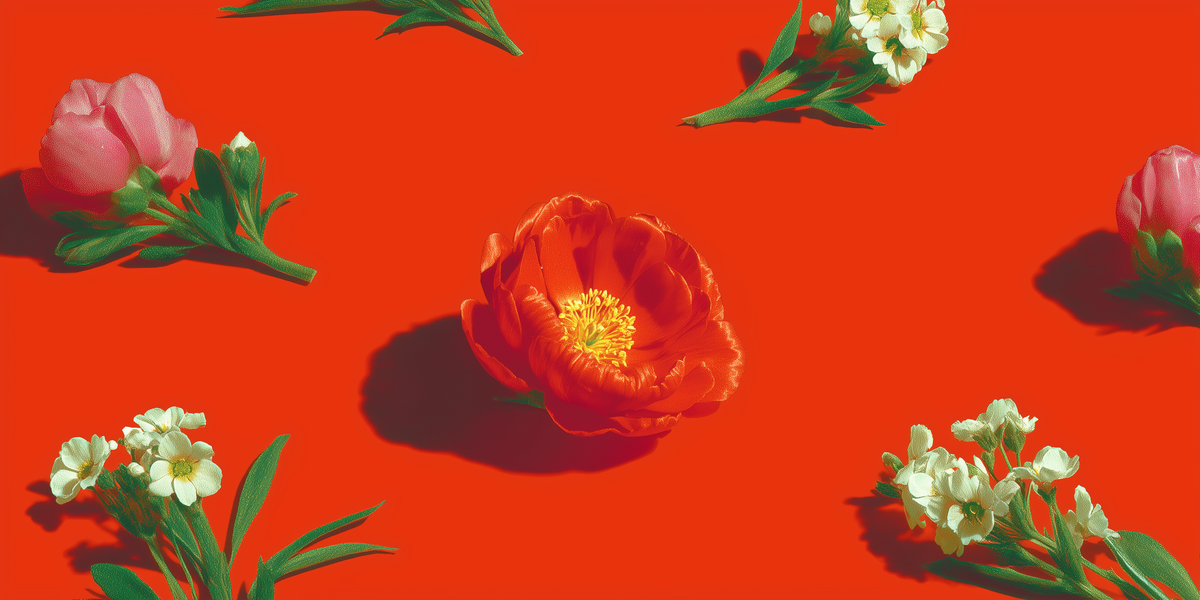 Scarlet Sunburst fine art print, modern wall art, balanced light and tone