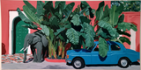Urban Safari