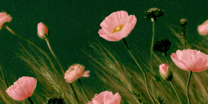 Poppycock
