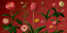 Bloodline Botany