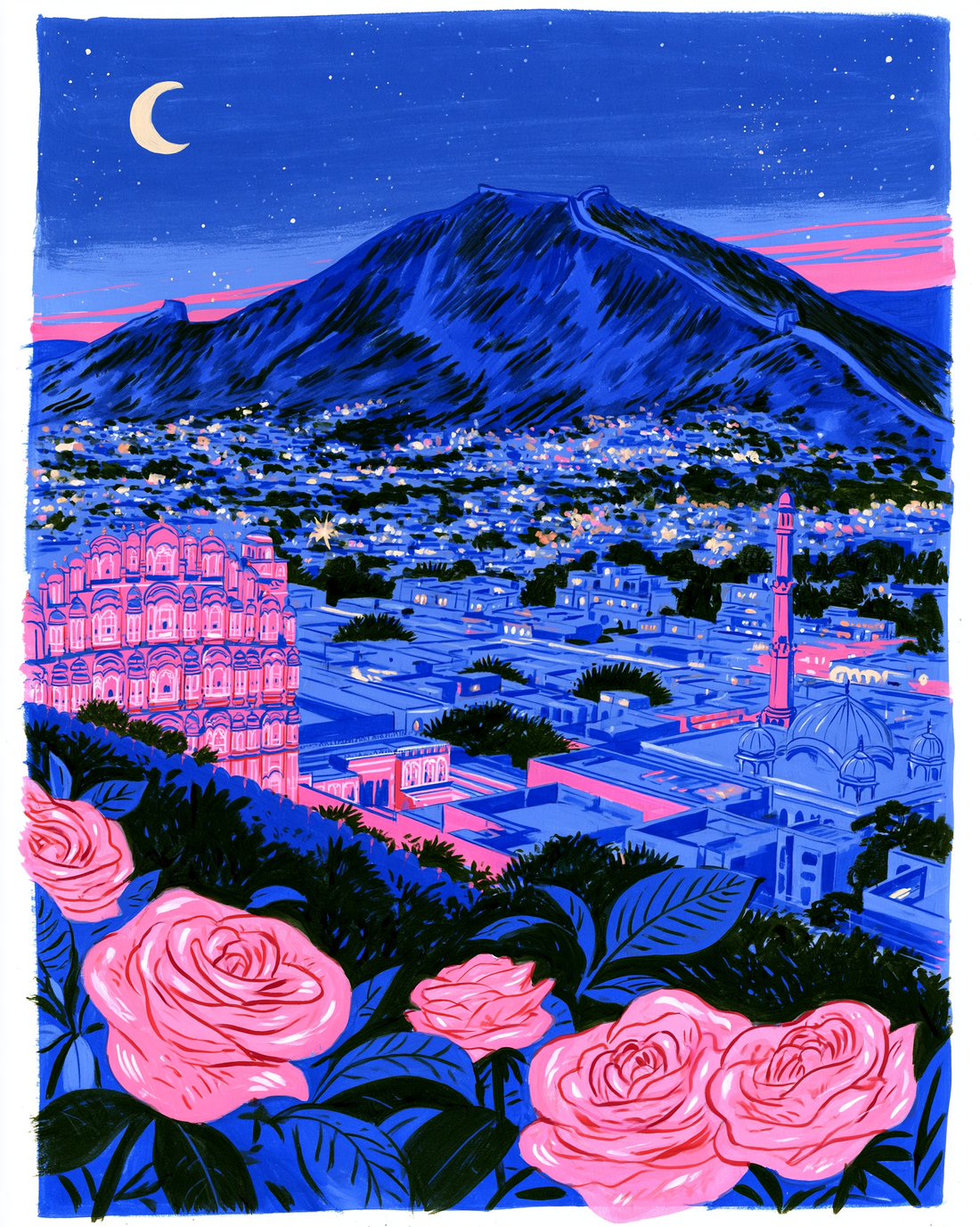 Pink City Fever