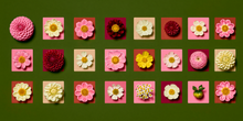 Specimen Grid