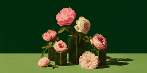 Bloom Ledger: Shadow