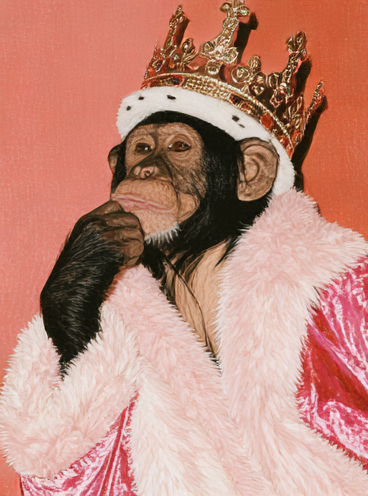 Primate Regime — room-scale preview