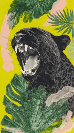 Wildtooth