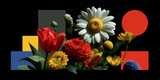 Primary Bloom