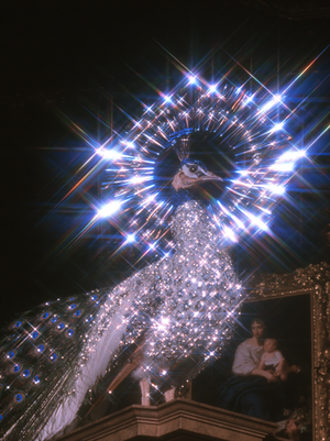 Diamond Plumage