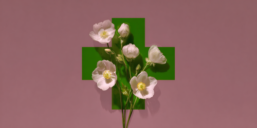 Remedy Cross