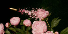 Bloom Casualty