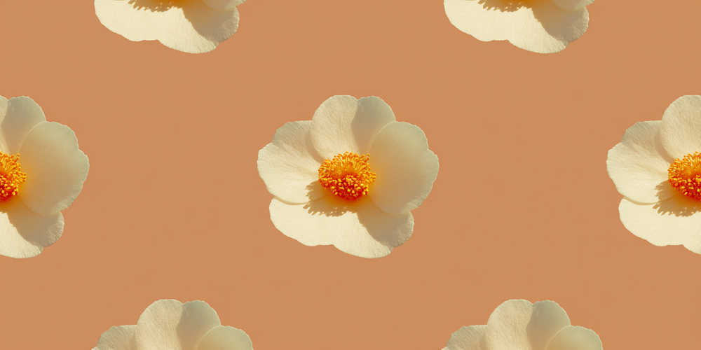 Amber Repeat