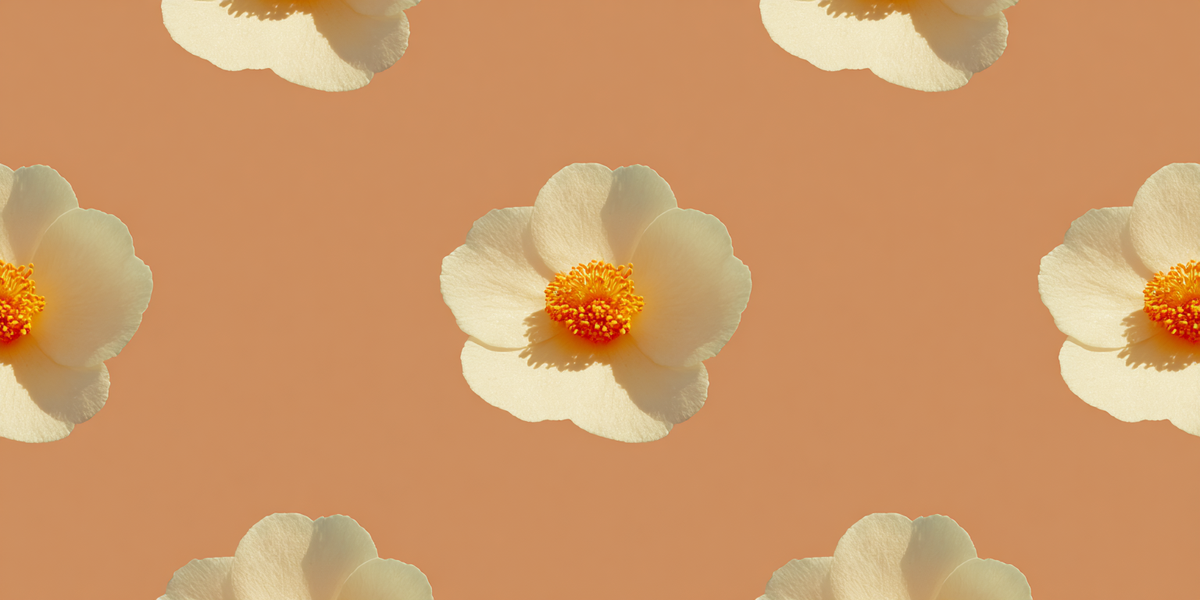 Amber Repeat
