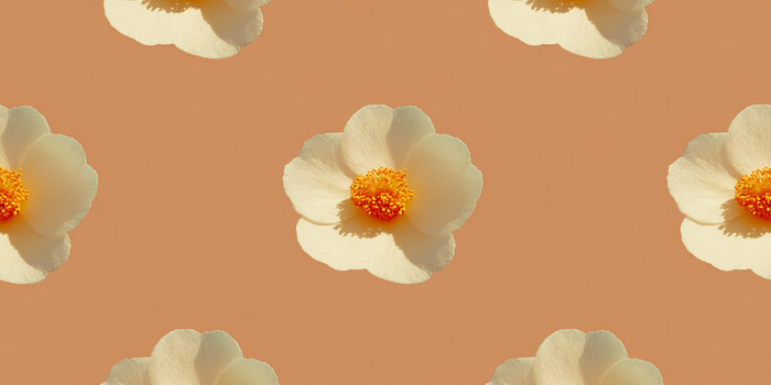 Amber Repeat