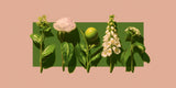Green Ceremony