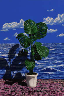 Potted Horizon
