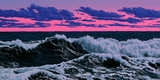 Fever Coast