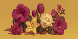 Bloom Deposition