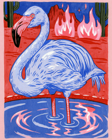 Coldwater Blaze