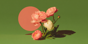 Bloomclipse