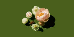 Pollen Ledger