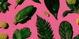 Floraforensics