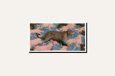 Predrift — detail view
